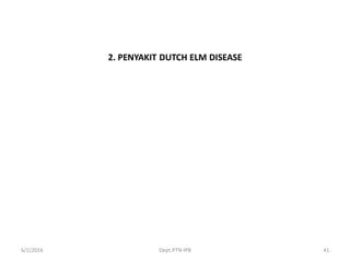 2. PENYAKIT DUTCH ELM DISEASE
6/1/2016 Dept.PTN-IPB 41
 