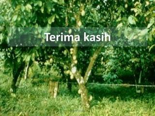 Terima kasih
6/1/2016 Dept.PTN-IPB 44
 