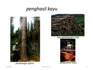 6/1/2016 Dept.PTN-IPB 5
penghasil kayu
penebangan pohon
kayu gelondongan (log)
penglolahan kayu
 