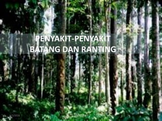 6/1/2016 Dept.PTN-IPB 8
PENYAKIT-PENYAKIT
BATANG DAN RANTING
 