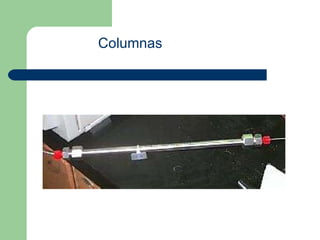 Columnas                                                 