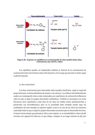 Figura 28.- Especies en equilibrio en cromatografía de intercambio iónico (fase
estacionaria, fase móvil y soluto

Los equilibrios pueden ser desplazados también en función de la concentración de
contraion de la fase móvil (fuerza iónica del eluyente) y de la carga que presente el soluto según
el pH del eluyente.

La fase estacionaria
Las fases estacionarías para intercambio iónico pueden clasificarse, según la carga del
grupo funcional, en intercambiadoras de aniones o de cationes. Los rellenos más habitualmente
usados en cromatografía iónica están constituidos por copolímeros de estireno/divinilbenceno
sobre los que se ligan los grupos funcionales cambiadores. También se encuentran con cierta
frecuencia otros copolímeros como base de las fases de cambio iónico (polimetacrilato y
poliacrilato con divinilbenceno), pero en la actualidad están tomando mucho auge los
cambiadores de iones basados en soportes rígidos, como es el caso de las sílices de estructura
controlada sobre las que se ligan los grupos funcionales necesarios para el intercambio de iones;
el mayor inconveniente que presenta la sílice como soporte, es su inestabilidad a valores de pH
extremos (en especial los básicos), lo que obliga a trabajar en un rango estrecho de pH, por

51

 