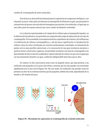 nombre de cromatografía de tamiz molecular).
Esta técnica se desarrolló inicialmente para la separación de compuestos biológicos, con
eluyentes acuosos, sobre geles de dextrano (cromatografía de filtración en gel), que presentan la
característica de poseer una reticulación homogénea que permite a las moléculas, al igual que en
una criba, pasar de manera selectiva por unos canales de diámetro controlado.
La evolución experimentada en el campo de los rellenos para cromatografía líquida y en
la fabricación de polímeros, ha permitido una expansión del campo de aplicación de este tipo de
cromatografía. En la actualidad, la incorporación de los copolímeros de estireno y divinilbenceno
a la fabricación de rellenos cromatográficos y, aún de mayor significación, la introducción de
rellenos a base de sílice cristalizada con retículos perfectamente controlados, la eliminación de
puntos activos para posibles adsorciones y la consecución de una gran resistencia mecánica y
química frente a disolventes orgánicos, ha permitido incorporar este tipo de cromatografía a las
denominadas de alta resolución, pudiéndose separar todo tipo de solutos sin que estos tengan que
ser necesariamente disueltos en agua, condición indispensable hasta hace pocos años.
En síntesis, la fase estacionaria actúa como un pequeño tamiz, que deja penetrar a las
moléculas más pequeñas en los poros del relleno, mientras que las más grandes son arrastradas
rápidamente por la fase móvil (figura 29). De este modo, las moléculas más grandes serán las
primeras en eluir de la columna mientras que las pequeñas saldrán más tarde, dependiendo de su
tamaño y del tamaño del poro.

Figura 29.- Mecanismo de separación en cromatografía de exclusión molecular

54

 
