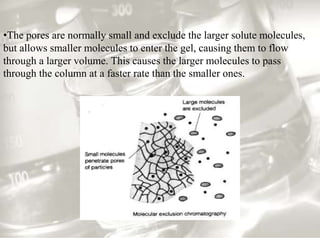 •The pores are normally small and exclude the larger solute molecules, 
but allows smaller molecules to enter the gel, causing them to flow 
through a larger volume. This causes the larger molecules to pass 
through the column at a faster rate than the smaller ones. 
 
