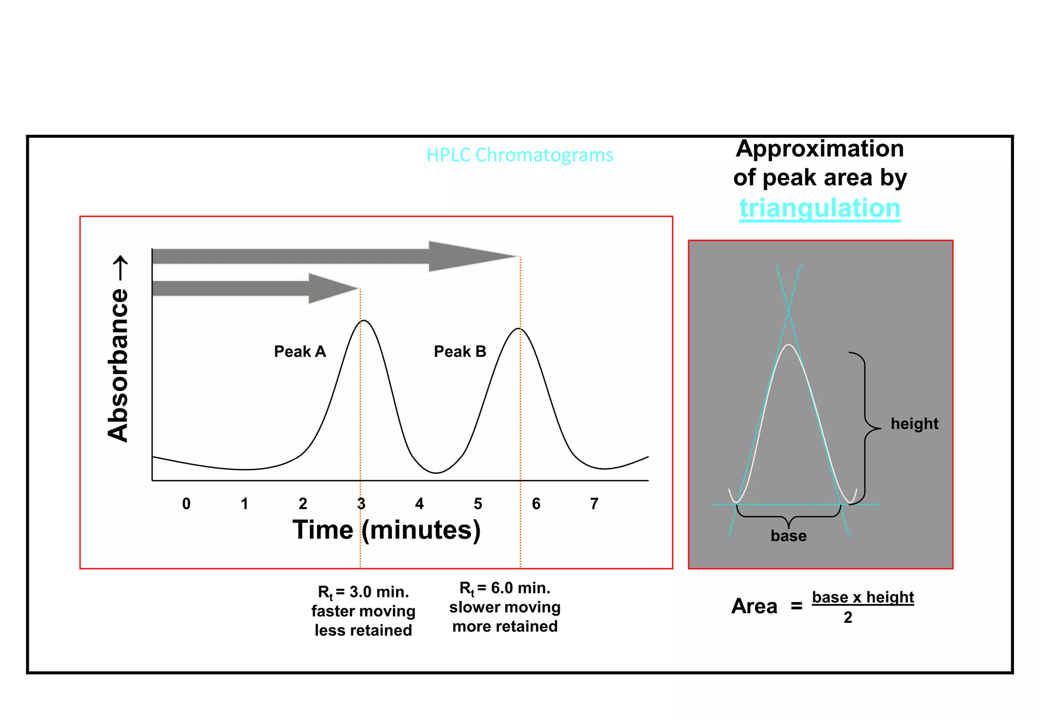 HPLC Chromatograms 
0 1 2 3 4 5 6 7 
Time (minutes) 
Absorbance Area =base x height2 
base 
height 
Peak A 
Peak B 
Approximation 
of peak area by 
triangulation 
Rt = 3.0 min. 
faster moving 
less retained 
Rt = 6.0 min. slower movingmore retained  