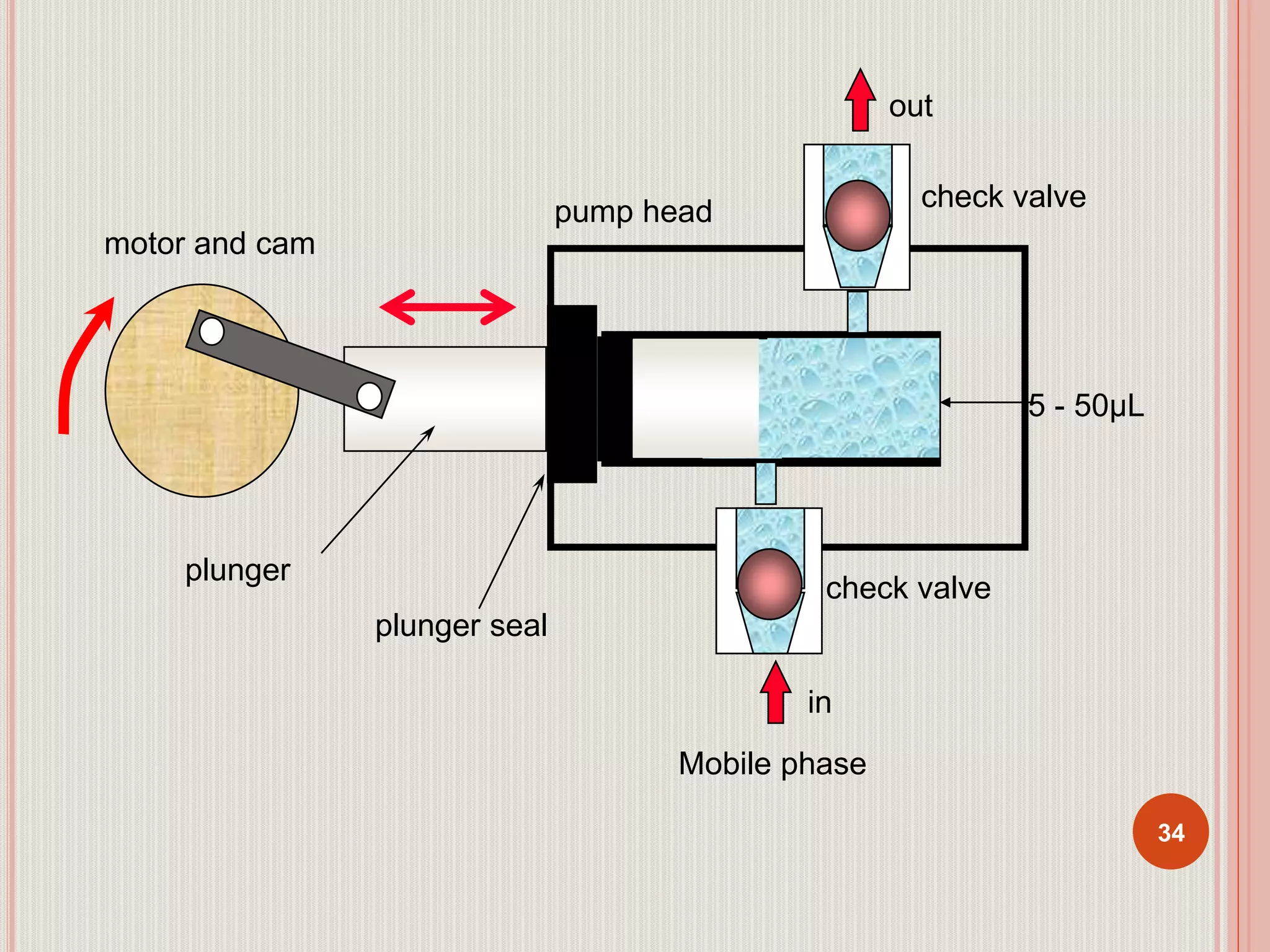 34
motor and cam
plunger
plunger seal
check valvepump head
5 - 50µL
out
in
Mobile phase
check valve
 