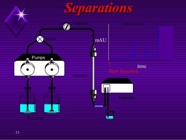 persistent pain model