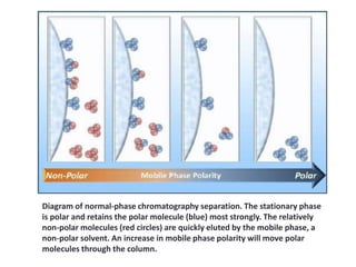 Diagram of normal-phase chromatography separation. The stationary phase
is polar and retains the polar molecule (blue) most strongly. The relatively
non-polar molecules (red circles) are quickly eluted by the mobile phase, a
non-polar solvent. An increase in mobile phase polarity will move polar
molecules through the column.
 