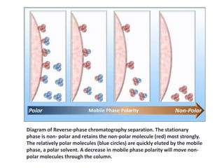 Diagram of Reverse-phase chromatography separation. The stationary
phase is non- polar and retains the non-polar molecule (red) most strongly.
The relatively polar molecules (blue circles) are quickly eluted by the mobile
phase, a polar solvent. A decrease in mobile phase polarity will move non-
polar molecules through the column.
 