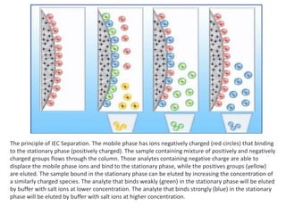 The principle of IEC Separation. The mobile phase has ions negatively charged (red circles) that binding
to the stationary phase (positively charged). The sample containing mixture of positively and negatively
charged groups flows through the column. Those analytes containing negative charge are able to
displace the mobile phase ions and bind to the stationary phase, while the positives groups (yellow)
are eluted. The sample bound in the stationary phase can be eluted by increasing the concentration of
a similarly charged species. The analyte that binds weakly (green) in the stationary phase will be eluted
by buffer with salt ions at lower concentration. The analyte that binds strongly (blue) in the stationary
phase will be eluted by buffer with salt ions at higher concentration.
 