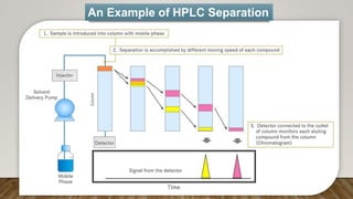 An Example of HPLC Separation
 