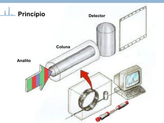 Detector
Analito
Coluna
Princípio
 