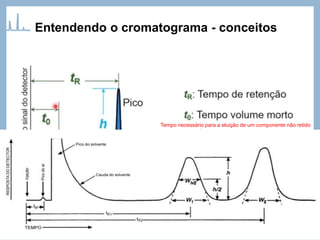 Entendendo o cromatograma - conceitos
Tempo necessário para a eluição de um componente não retido
 