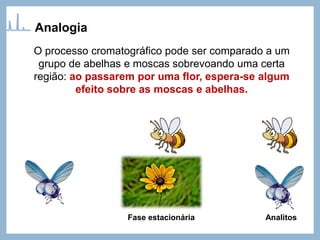 Analogia
O processo cromatográfico pode ser comparado a um
grupo de abelhas e moscas sobrevoando uma certa
região: ao passarem por uma flor, espera-se algum
efeito sobre as moscas e abelhas.
Fase estacionária Analitos
 