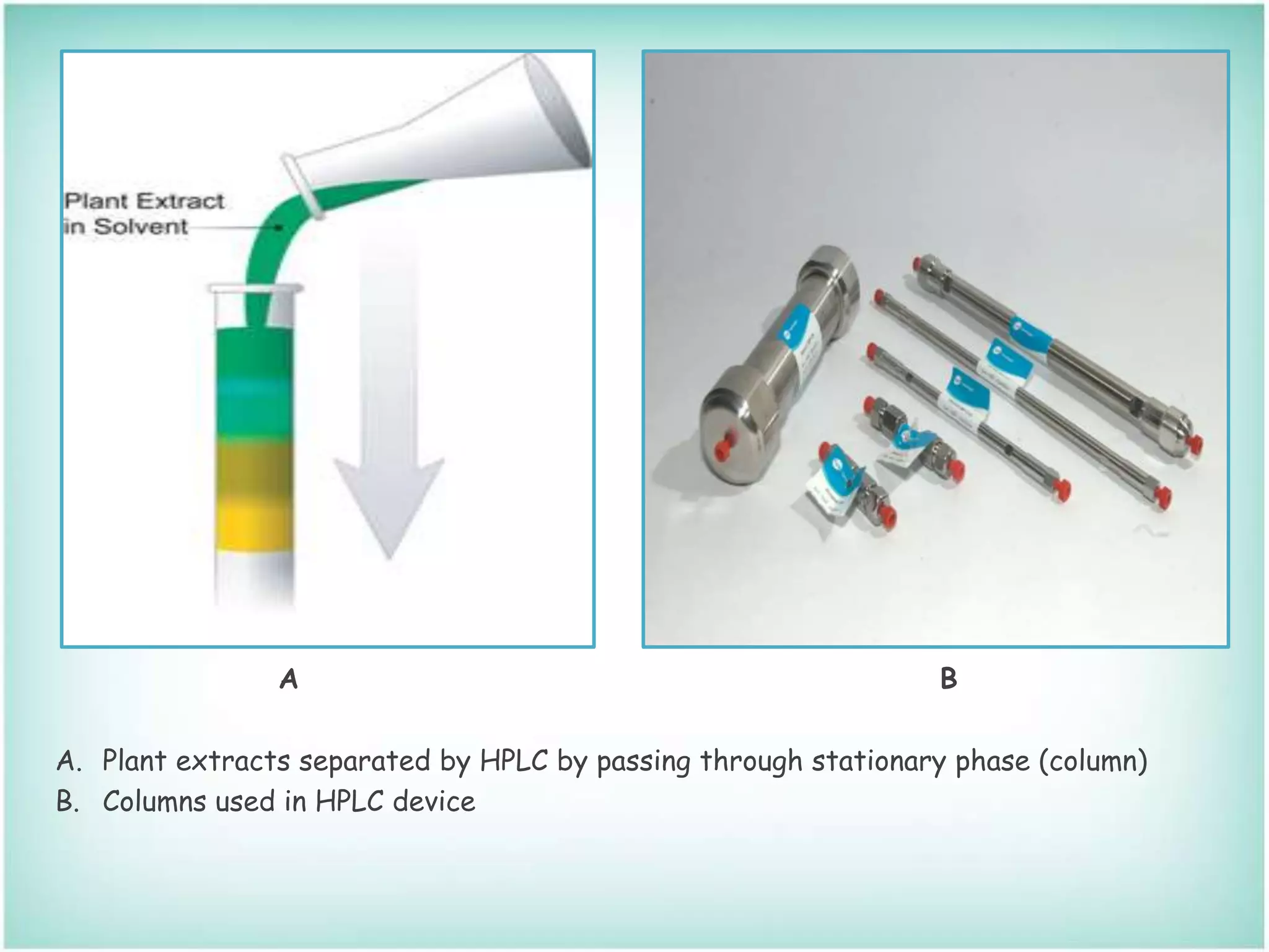 A B
A. Plant extracts separated by HPLC by passing through stationary phase (column)
B. Columns used in HPLC device
 