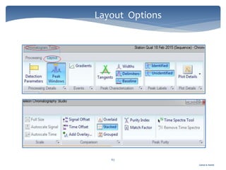 Gamal A. Hamid
Layout Options
63
 