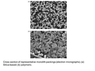 Cross section of representative monolith packings (electron micrographs). (a)
Silica-based; (b) polymeric.
 