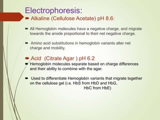 Electrophoresis:
 Alkaline (Cellulose Acetate) pH 8.6:
 All Hemoglobin molecules have a negative charge, and migrate
towards the anode proportional to their net negative charge.
 Amino acid substitutions in hemoglobin variants alter net
charge and mobility.
 Acid (Citrate Agar ) pH 6.2
 Hemoglobin molecules separate based on charge differences
and their ability to combine with the agar.
 Used to differentiate Hemoglobin variants that migrate together
on the cellulose gel (i.e. HbS from HbD and HbG,
HbC from HbE)
 