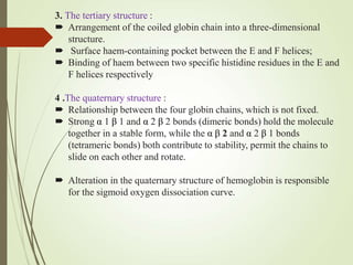 3. The tertiary structure :
 Arrangement of the coiled globin chain into a three-dimensional
structure.
 Surface haem-containing pocket between the E and F helices;
 Binding of haem between two specific histidine residues in the E and
F helices respectively
4 .The quaternary structure :
 Relationship between the four globin chains, which is not fixed.
 Strong α 1 β 1 and α 2 β 2 bonds (dimeric bonds) hold the molecule
together in a stable form, while the α β 2 and α 2 β 1 bonds
(tetrameric bonds) both contribute to stability, permit the chains to
slide on each other and rotate.
 Alteration in the quaternary structure of hemoglobin is responsible
for the sigmoid oxygen dissociation curve.
 