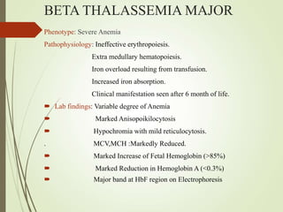 BETA THALASSEMIA MAJOR
Phenotype: Severe Anemia
Pathophysiology: Ineffective erythropoiesis.
Extra medullary hematopoiesis.
Iron overload resulting from transfusion.
Increased iron absorption.
Clinical manifestation seen after 6 month of life.
 Lab findings: Variable degree of Anemia
 Marked Anisopoikilocytosis
 Hypochromia with mild reticulocytosis.
. MCV,MCH :Markedly Reduced.
 Marked Increase of Fetal Hemoglobin (>85%)
 Marked Reduction in Hemoglobin A (<0.3%)
 Major band at HbF region on Electrophoresis
 