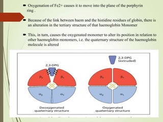  Oxygenation of Fe2+ causes it to move into the plane of the porphyrin
ring .
 Because of the link between haem and the histidine residues of globin, there is
an alteration in the tertiary structure of that haemoglobin Monomer
 This, in turn, causes the oxygenated monomer to alter its position in relation to
other haemoglobin monomers, i.e. the quaternary structure of the haemoglobin
molecule is altered
 