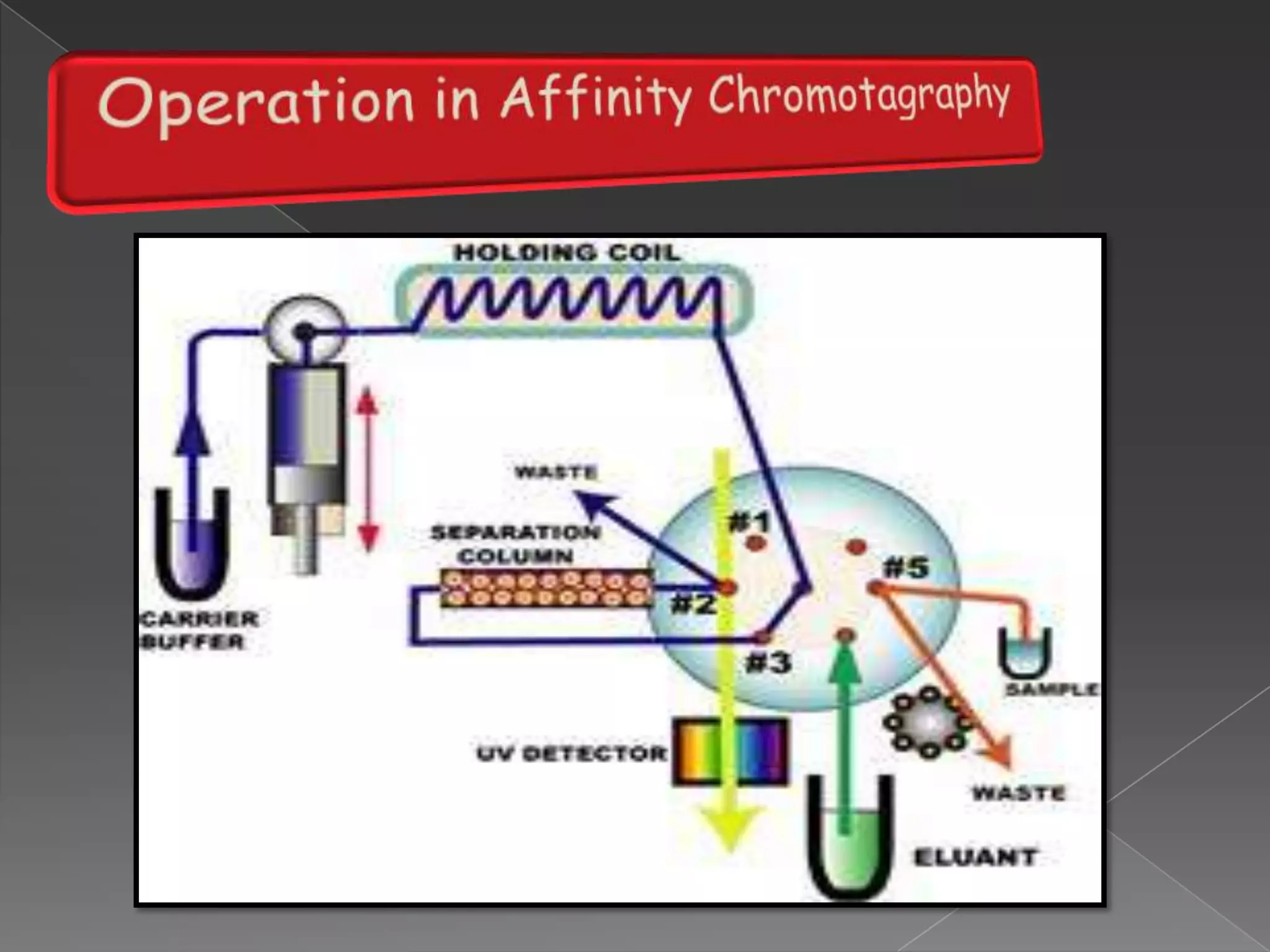 Specific pore sizes.average residence time in the pores depends on the effective size of the analyte moleculeslarger moleculessmaller moleculesintermediate size moleculesSEC  (continued) :-