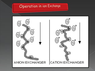 Components of ion exchange :-A charge solid phase or matrix Liquid phase contains molecules of different chargesSolutions (eluant) of different charges to influence interactions between liquid and solid phases