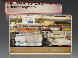 Exchanges anions    Operation in ion Exchange