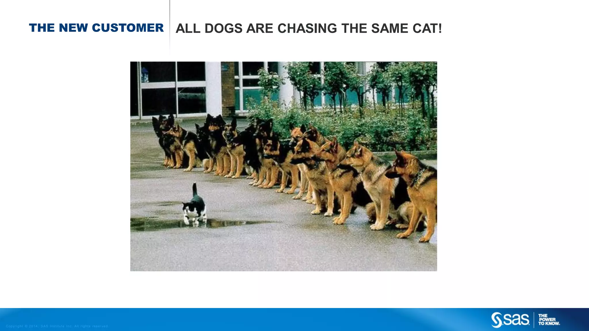 THE NEW CUSTOMER

C op yr i g h t © 2 0 1 4 , S A S I n s t i t u t e I n c . A l l r i g h t s r es er v e d .

ALL DOGS ARE CHASING THE SAME CAT!

 