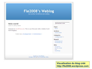 Visualisation du blog créé  http://fle2008.wordpress.com 