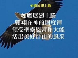 如鷹展翅上騰
如鷹展翅上騰
翔在神的國度裡翱
領受聖靈恩膏和大能
活出美好自由的風采
 