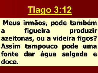 Tiago 3:12
Meus irmãos, pode também
a figueira produzir
azeitonas, ou a videira figos?
Assim tampouco pode uma
fonte dar água salgada e
doce.
 