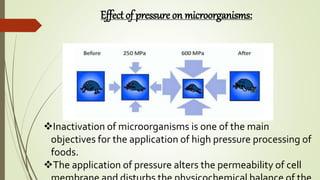 Effect of pressure on microorganisms:
Inactivation of microorganisms is one of the main
objectives for the application of high pressure processing of
foods.
The application of pressure alters the permeability of cell
 
