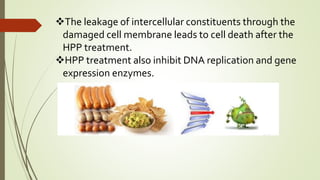 The leakage of intercellular constituents through the
damaged cell membrane leads to cell death after the
HPP treatment.
HPP treatment also inhibit DNA replication and gene
expression enzymes.
 