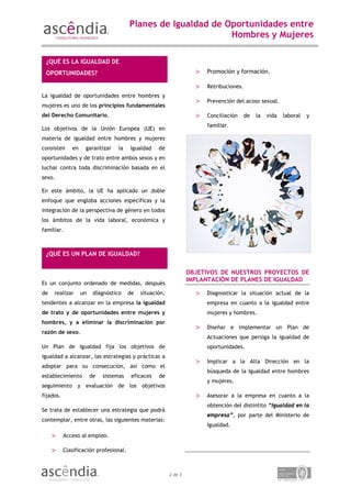 PLANES DE IGUALDAD | PDF