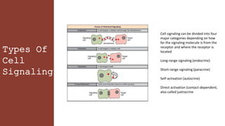 Cell signaling can be divided into four
major categories depending on how
far the signaling molecule is from the
receptor and where the receptor is
located
Long-range signaling (endocrine)
Short-range signaling (paracrine)
Self-activation (autocrine)
Direct activation (contact-dependent,
also called juxtracrine
Types Of
Cell
Signaling
 