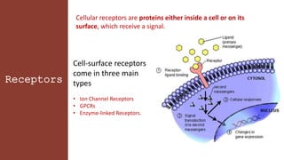 Cellular receptors are proteins either inside a cell or on its
surface, which receive a signal.
Receptors
Cell-surface receptors
come in three main
types
• Ion Channel Receptors
• GPCRs
• Enzyme-linked Receptors.
 