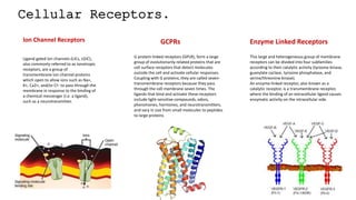 Cellular Receptors.
Ligand-gated ion channels (LICs, LGIC),
also commonly referred to as ionotropic
receptors, are a group of
transmembrane ion-channel proteins
which open to allow ions such as Na+,
K+, Ca2+, and/or Cl− to pass through the
membrane in response to the binding of
a chemical messenger (i.e. a ligand),
such as a neurotransmitter.
Ion Channel Receptors GCPRs
This large and heterogeneous group of membrane
receptors can be divided into four subfamilies
according to their catalytic activity (tyrosine kinase,
guanylate cyclase, tyrosine phosphatase, and
serine/threonine kinase).
An enzyme-linked receptor, also known as a
catalytic receptor, is a transmembrane receptor,
where the binding of an extracellular ligand causes
enzymatic activity on the intracellular side.
Enzyme Linked Receptors
G protein-linked receptors (GPLR), form a large
group of evolutionarily-related proteins that are
cell surface receptors that detect molecules
outside the cell and activate cellular responses.
Coupling with G proteins, they are called seven-
transmembrane receptors because they pass
through the cell membrane seven times. The
ligands that bind and activate these receptors
include light-sensitive compounds, odors,
pheromones, hormones, and neurotransmitters,
and vary in size from small molecules to peptides
to large proteins
 