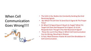 When Cell
Communication
Goes Wrong!!!!
• The Cells In Our Bodies Are Constantly Sending Out And
Receiving Signals.
• But What If A Cell Fails To Send Out A Signal At The Proper
Time?
• Or What If A Signal Doesn't Reach Its Target? What If A
Target Cell Does Not Respond To A Signal, Or A Cell
Responds Even Though It Has Not Received A Signal?
• These Are Just A Few Ways In Which Cell Communication
Can Go Wrong, Resulting In Disease.
• In Fact, Most Diseases Involve At Least One Breakdown In
Cell Communication.
 