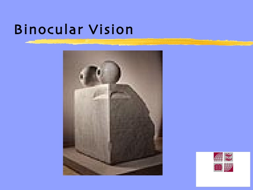 Binocular vision