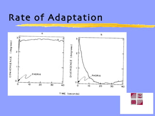 Rate of Adaptation