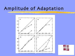 Amplitude of Adaptation