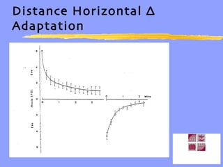 Distance Horizontal ∆ Adaptation