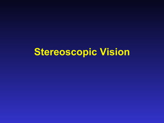 Stereoscopic Vision 