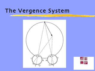 The Vergence System 