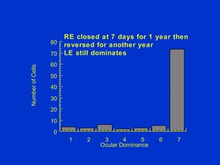 Number of Cells Ocular Dominance 0 10 20 30 40 50 60 70 80 1 2 3 4 5 6 7 RE closed at 7 days for 1 year then reversed for another year LE still dominates 
