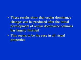 These results show that ocular dominance changes can be produced after the initial development of ocular dominance columns has largely finished This seems to be the case in all visual properties 