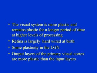 The visual system is more plastic and remains plastic for a longer period of time at higher levels of processing Retina is largely  hard wired at birth Some plasticity in the LGN Output layers of the primary visual cortex are more plastic than the input layers 