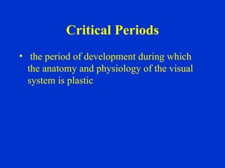 Critical Periods the period of development during which the anatomy and physiology of the visual system is plastic 