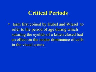 Critical Periods term first coined by Hubel and Wiesel  to refer to the period of age during which suturing the eyelids of a kitten closed had an effect on the ocular dominance of cells in the visual cortex 